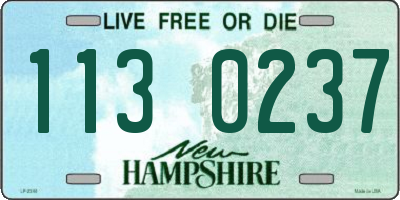 NH license plate 1130237