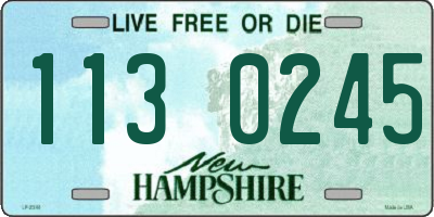 NH license plate 1130245