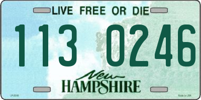 NH license plate 1130246