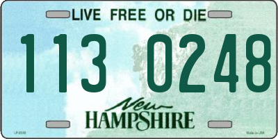 NH license plate 1130248