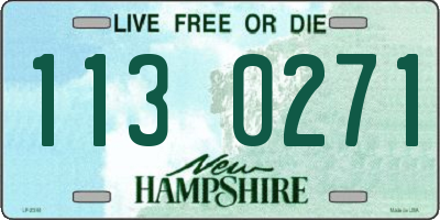 NH license plate 1130271