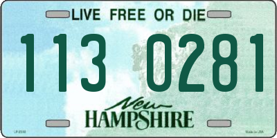 NH license plate 1130281