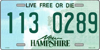 NH license plate 1130289