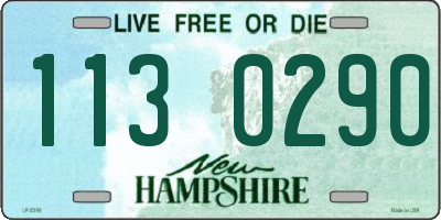 NH license plate 1130290
