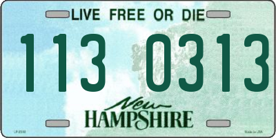 NH license plate 1130313