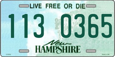 NH license plate 1130365