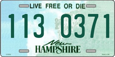 NH license plate 1130371