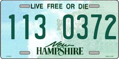 NH license plate 1130372