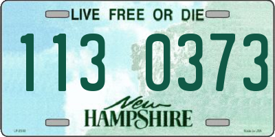 NH license plate 1130373