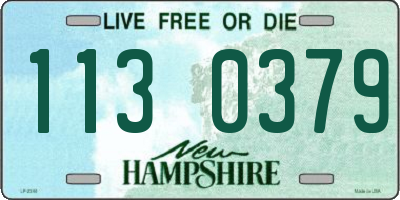 NH license plate 1130379