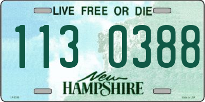 NH license plate 1130388