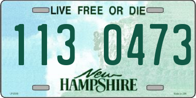 NH license plate 1130473
