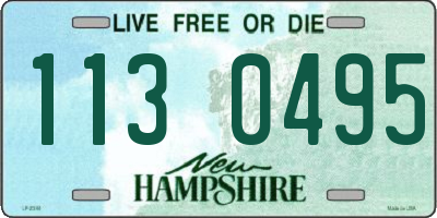 NH license plate 1130495