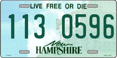 NH license plate 1130596