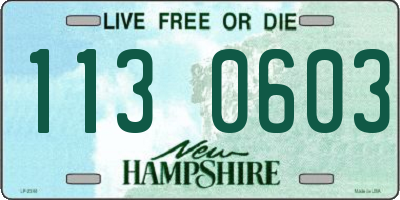 NH license plate 1130603