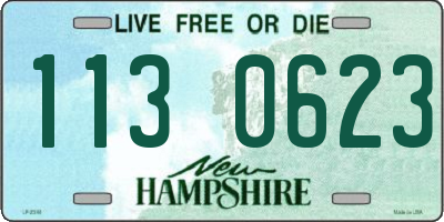 NH license plate 1130623