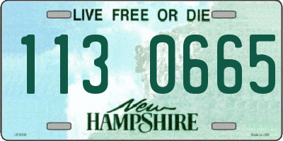 NH license plate 1130665