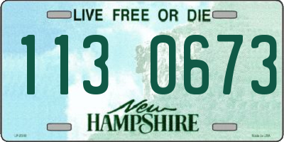 NH license plate 1130673