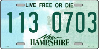 NH license plate 1130703