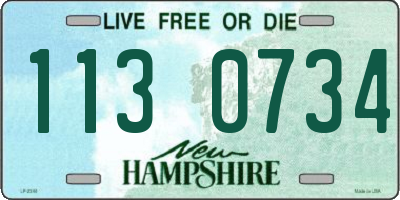 NH license plate 1130734