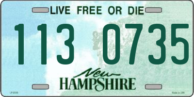 NH license plate 1130735