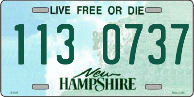 NH license plate 1130737
