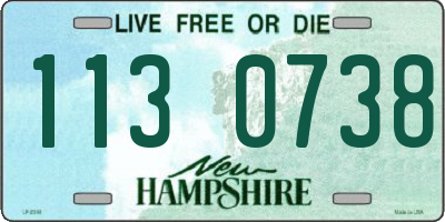 NH license plate 1130738