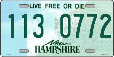 NH license plate 1130772