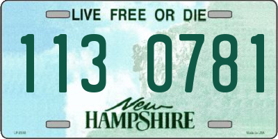 NH license plate 1130781