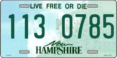 NH license plate 1130785
