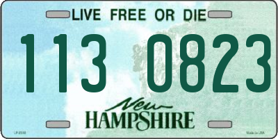 NH license plate 1130823