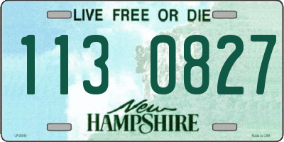 NH license plate 1130827