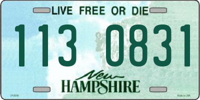 NH license plate 1130831