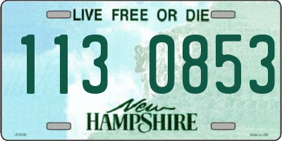 NH license plate 1130853