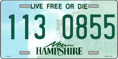 NH license plate 1130855