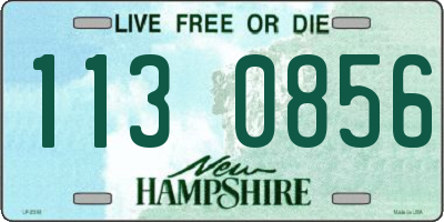 NH license plate 1130856