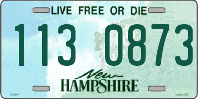 NH license plate 1130873