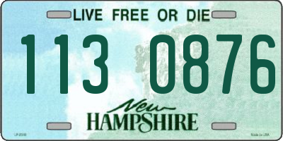 NH license plate 1130876