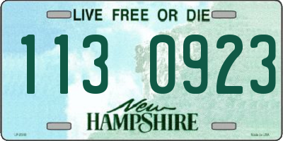NH license plate 1130923