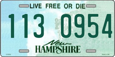 NH license plate 1130954