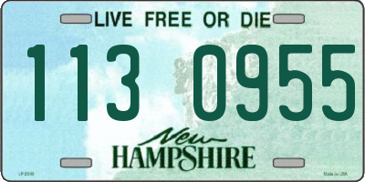 NH license plate 1130955