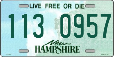NH license plate 1130957