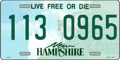 NH license plate 1130965