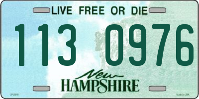 NH license plate 1130976