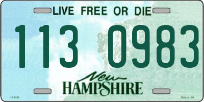 NH license plate 1130983