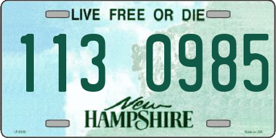 NH license plate 1130985