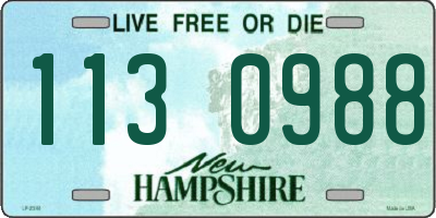 NH license plate 1130988