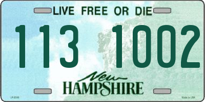 NH license plate 1131002