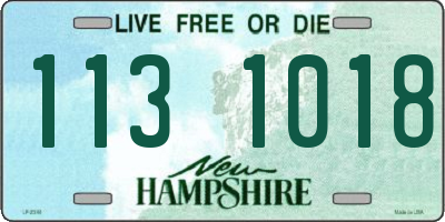 NH license plate 1131018