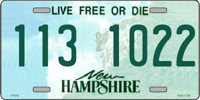 NH license plate 1131022